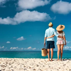 Seychelles or BVI Offshore LTD – BASIC